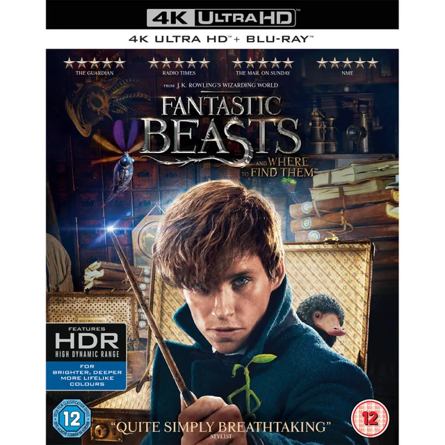 Phantastische Tierwesen und wo sie zu finden sind - 4K Ultra HD