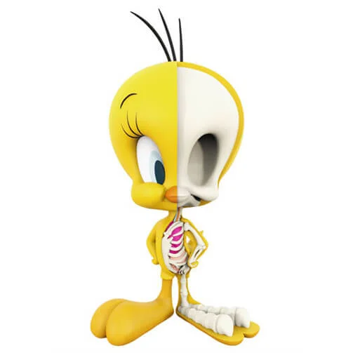 Looney Tunes Tweety XXRAY Figure Bild 1