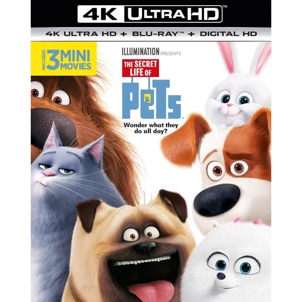 Das geheime Leben der Haustiere - 4K Ultra HD Bild 1
