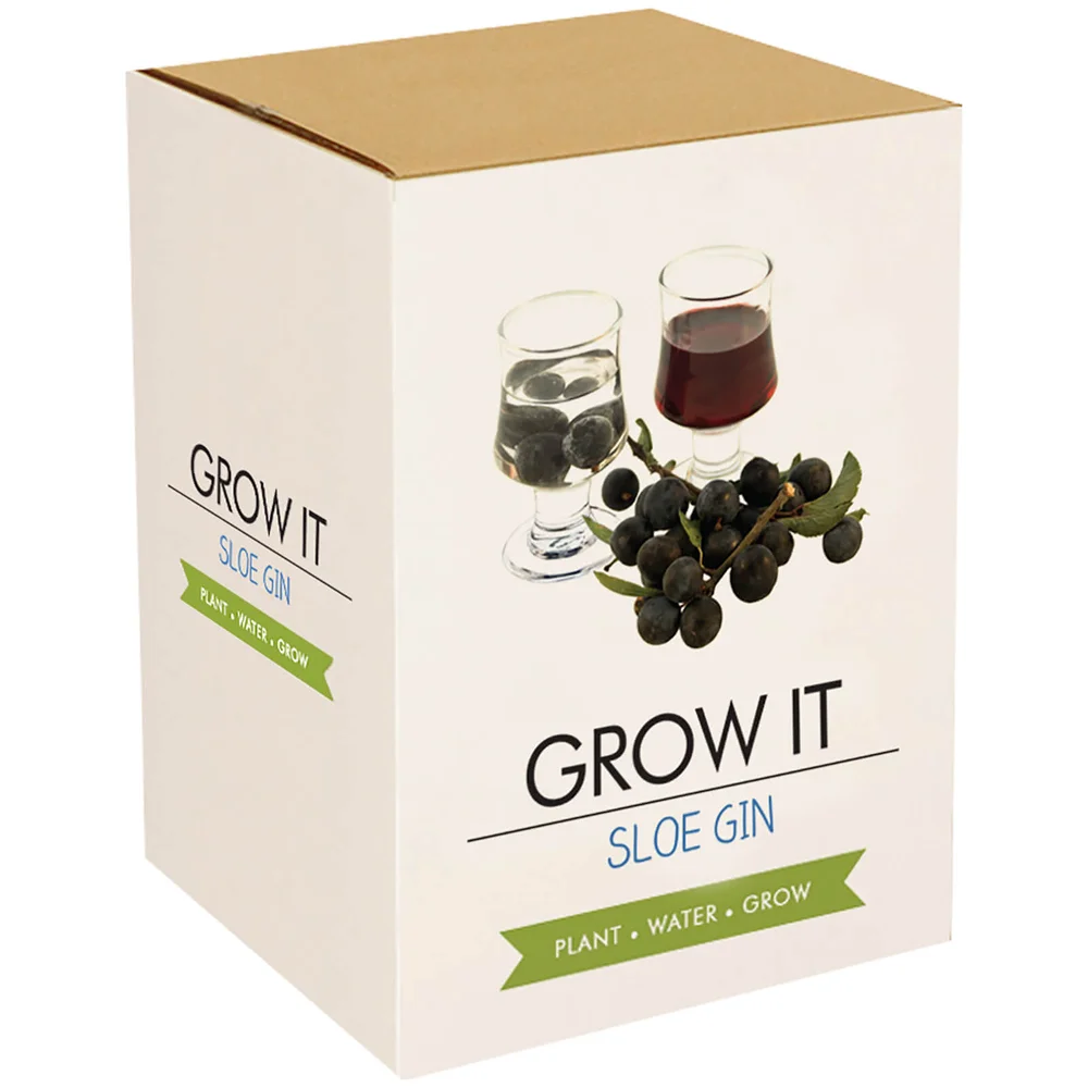 Grow It: Schlehen-Gin Geschenkbox Bild 1