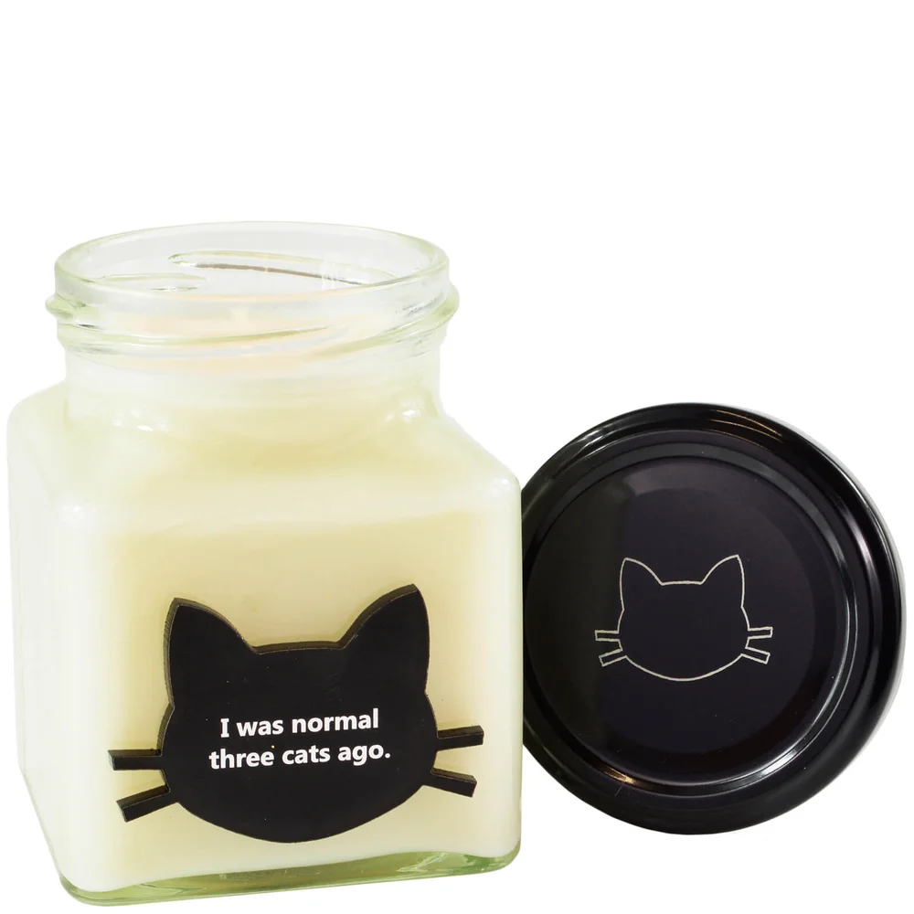 I Was Normal Three Cats Ago Crazy Cat Candle Bild 1