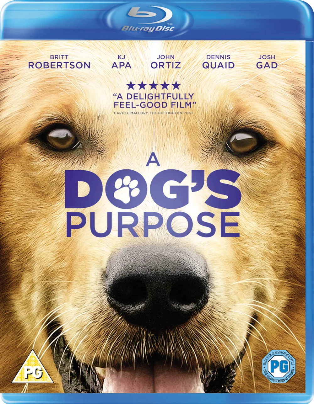 A Dog's Purpose Bild 1