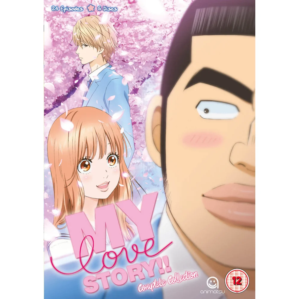 Meine Liebesgeschichte (Ore Monogatari) Vollständige Sammlung Bild 1