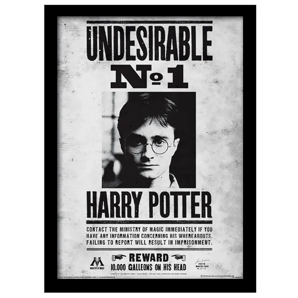 Harry Potter Undesirable No.1 Framed 30 x 40cm Print Bild 1