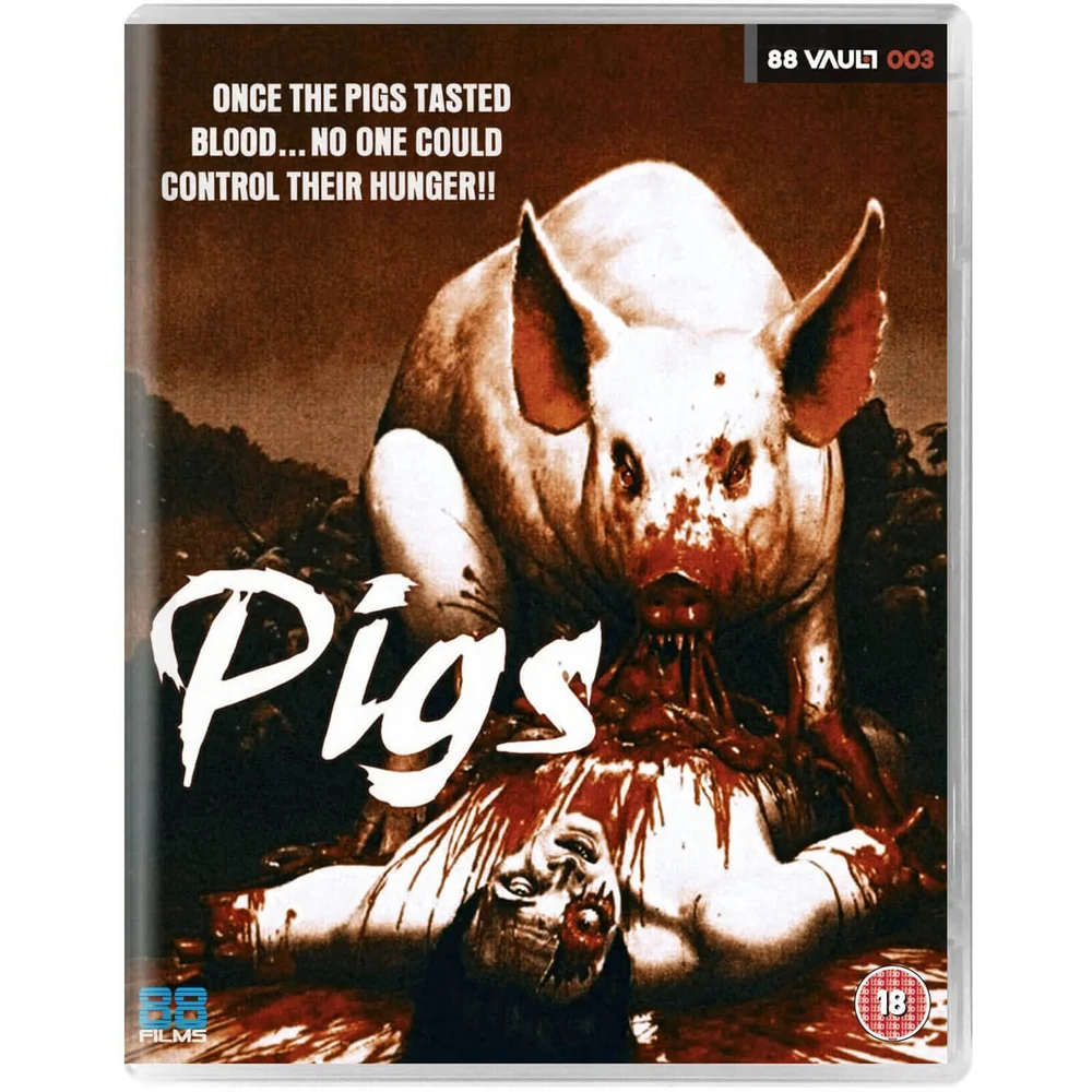 Schweine Bild 1
