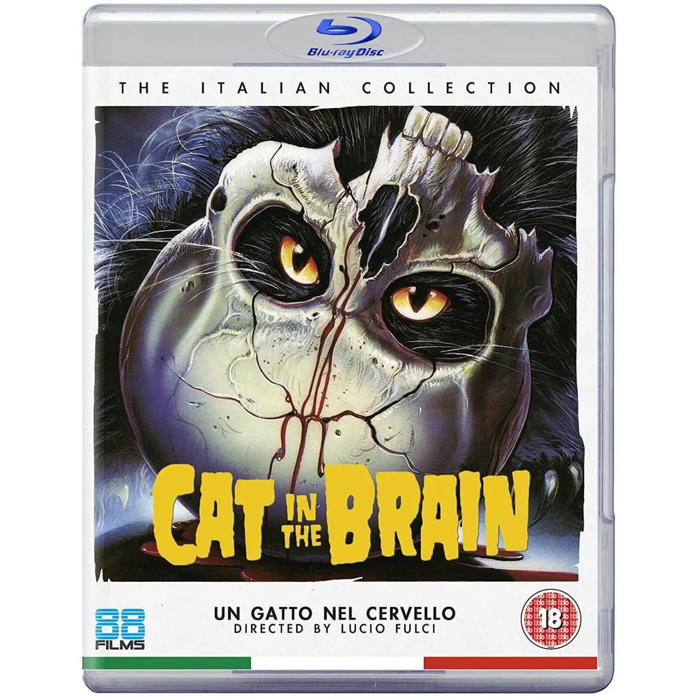 Eine Katze im Gehirn Bild 1