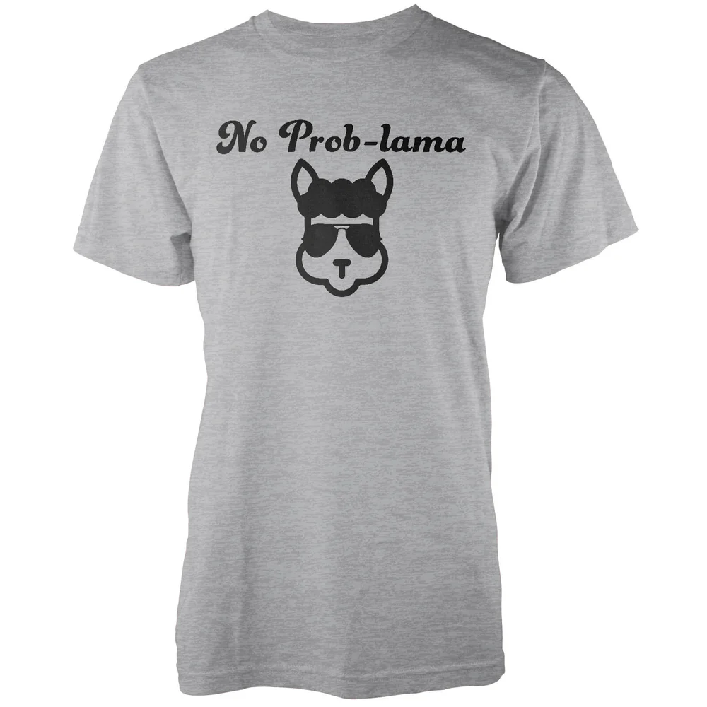 No Prob-Lama Grey T-Shirt - S Bild 1