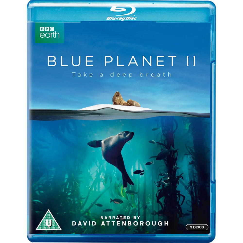 Blauer Planet II Bild 1
