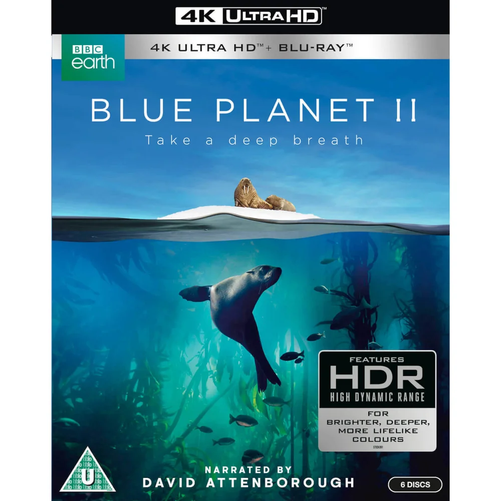 Blauer Planet II - 4K Ultra HD Bild 1