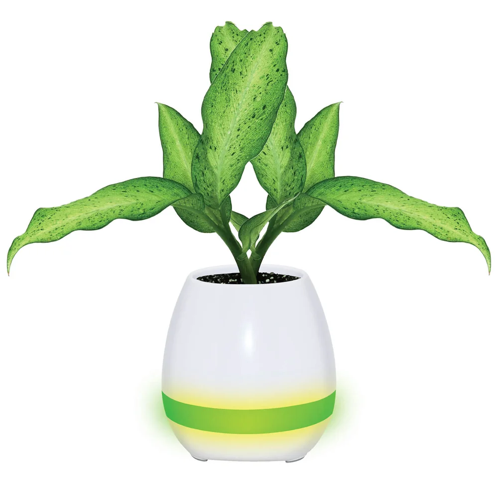 Mayhem Auora Piano Pot Bluetooth Speaker - Blue Bild 1