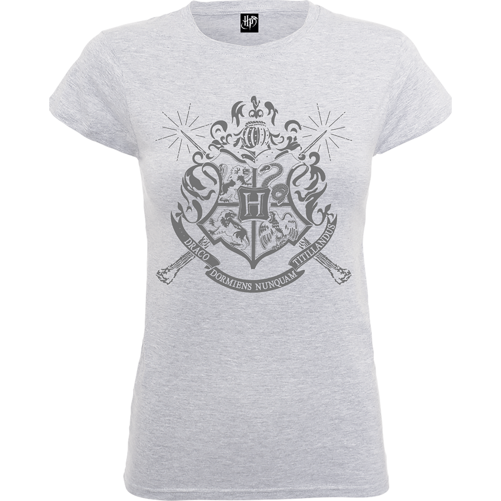 Harry Potter Draco Dormiens Nunquam Titillandus Frauen T-Shirt - Grau - S Bild 1