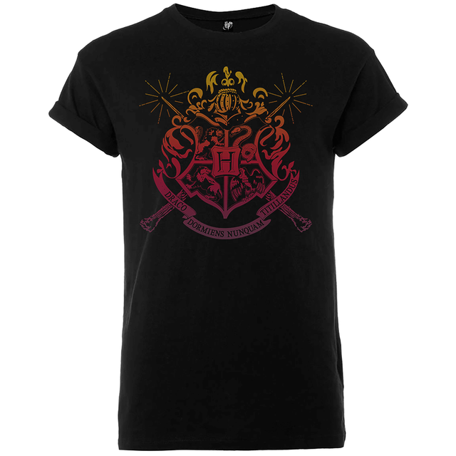 Harry Potter Draco Dormiens Nunquam Titillandus Männer T-Shirt - Schwarz