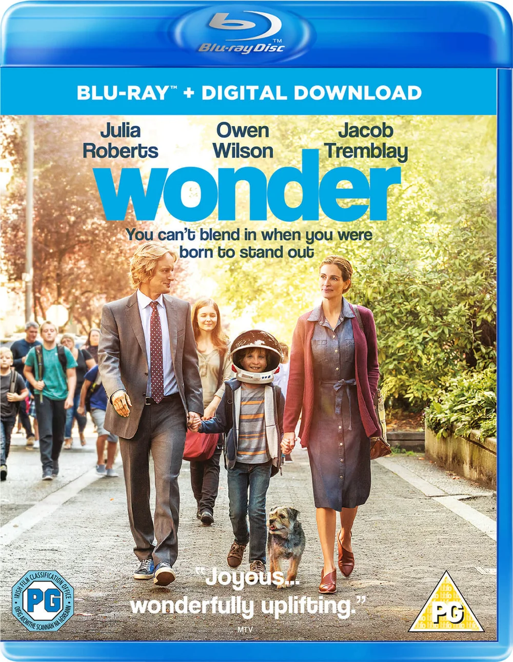 Wonder Bild 1