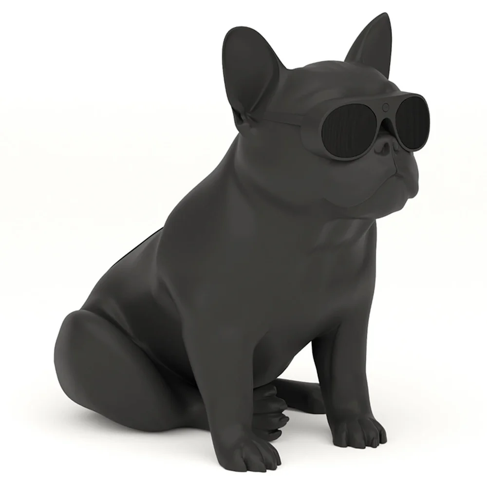 Jarre AeroBull XS1 Bluetooth Speakers - Matte Black Bild 1