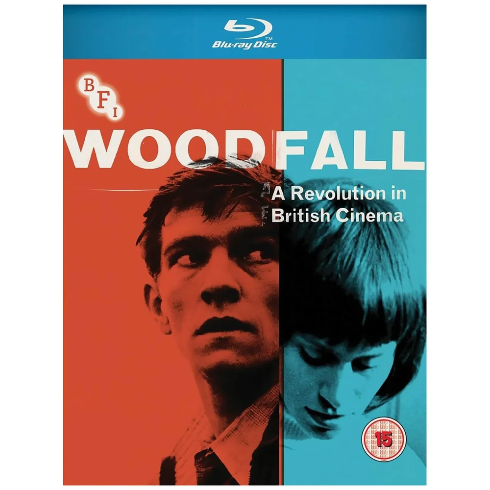 Woodfall: A Revolution in British Cinema Bild 1