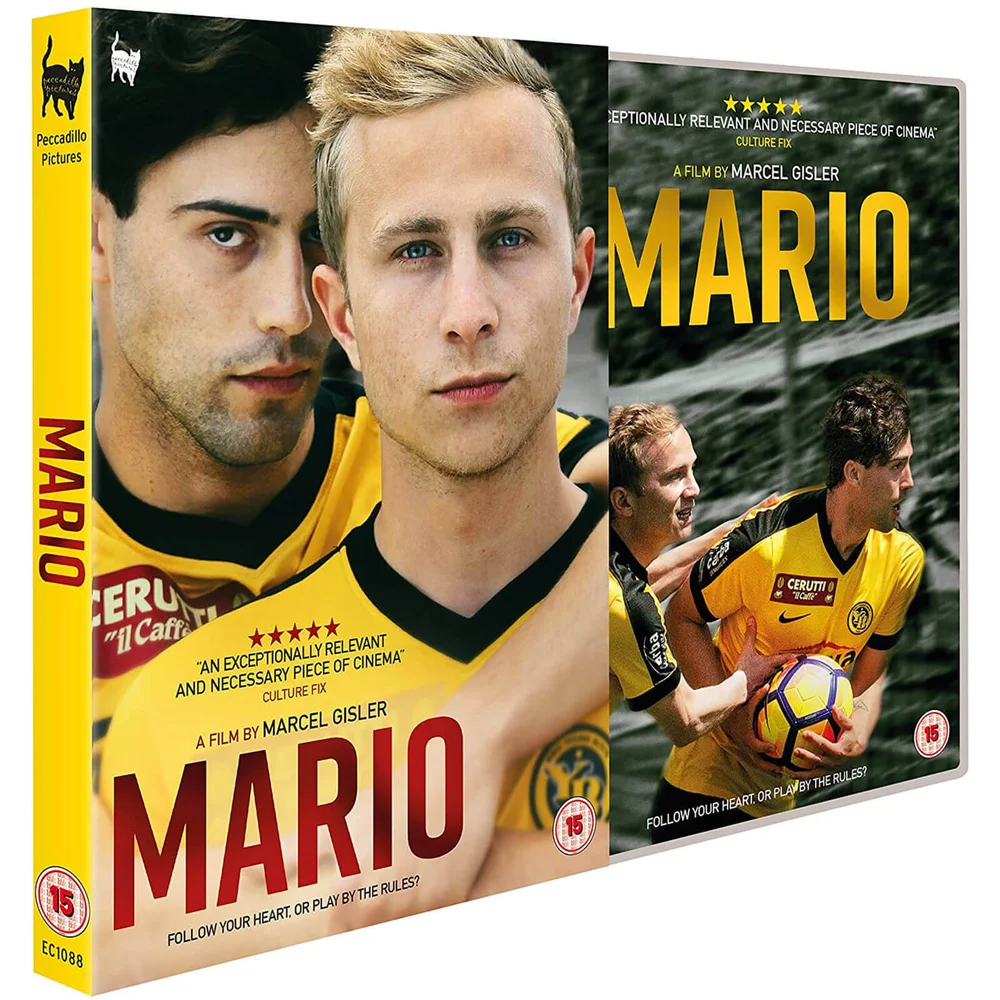 Mario Bild 1