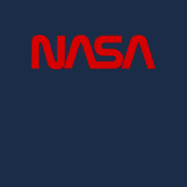 NASA Worm Rot Logotype Damen T-Shirt - Navy Blau