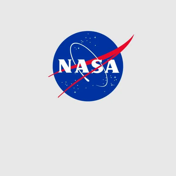 NASA Logo Insignia Damen T-Shirt - Grau