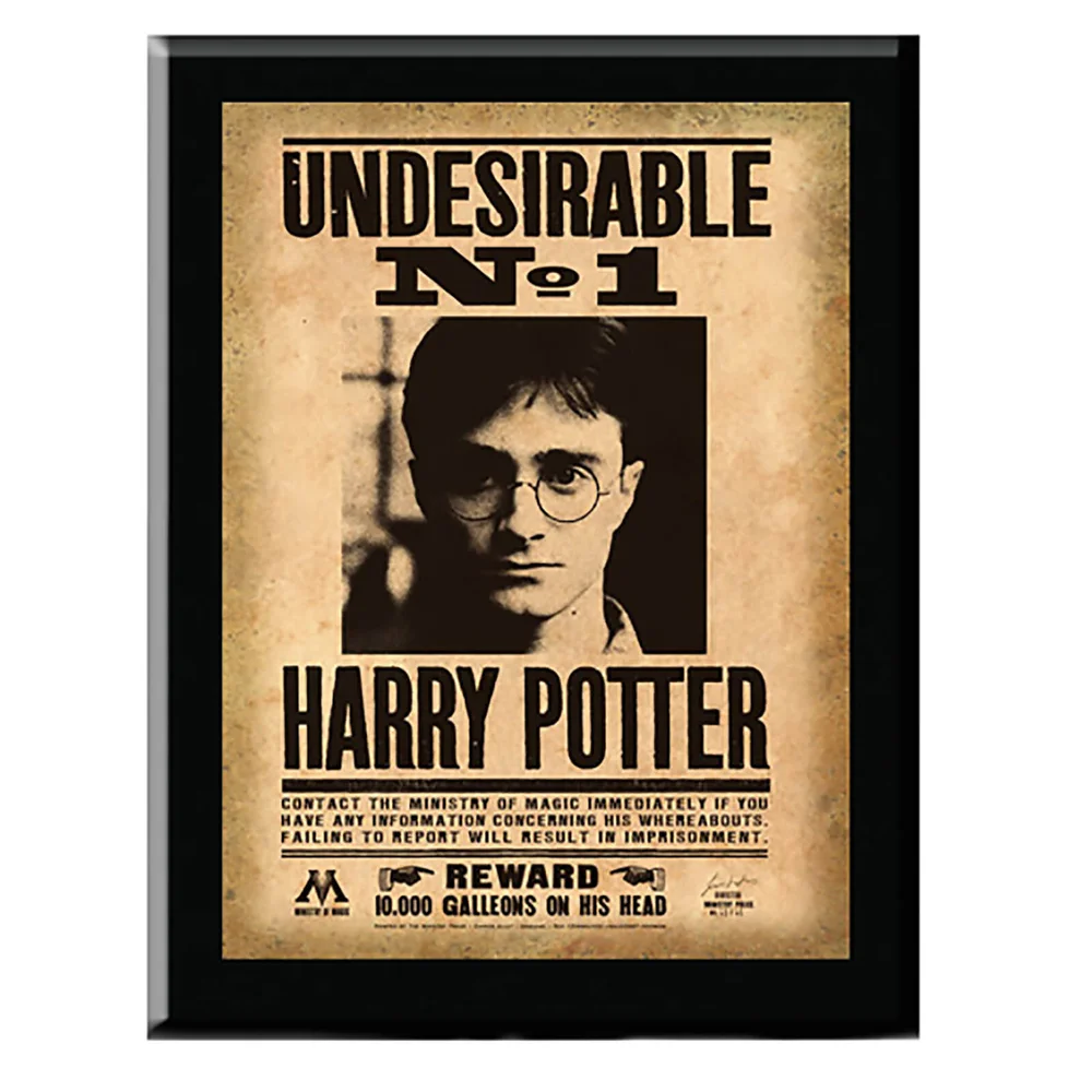 Harry Potter Plakette Harry Potter Undesirable No. 1 Bild 1