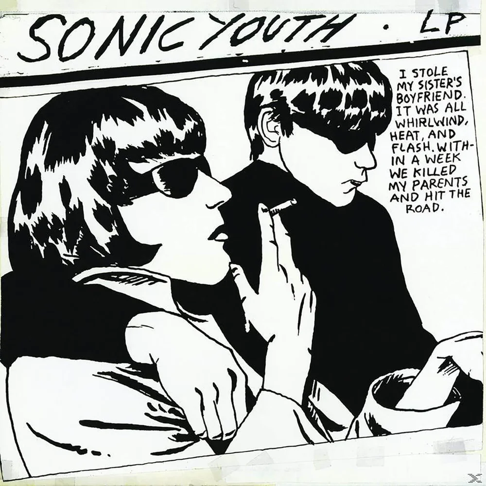 Sonic Youth - Goo 12 Inch Vinyl Bild 1