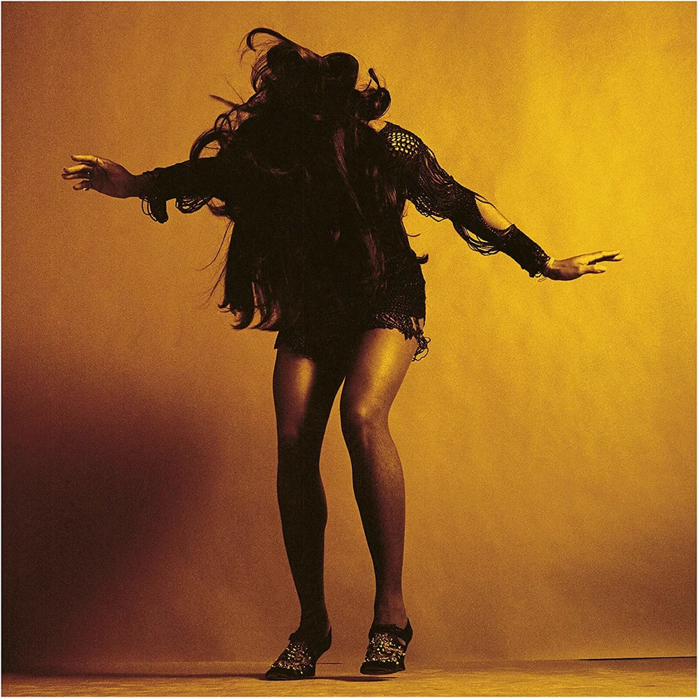 The Last Shadow Puppets - Everything You'Ve Come To Expect - Vinyl Bild 1