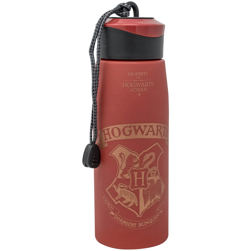 Harry Potter Trinkflasche 550ml Bild 1