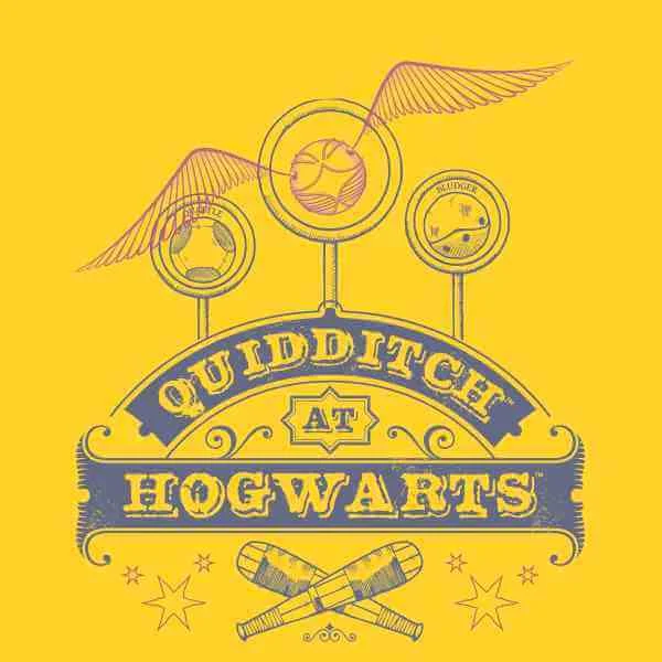 Harry Potter Quidditch At Hogwarts Herren T-Shirt - Gelb