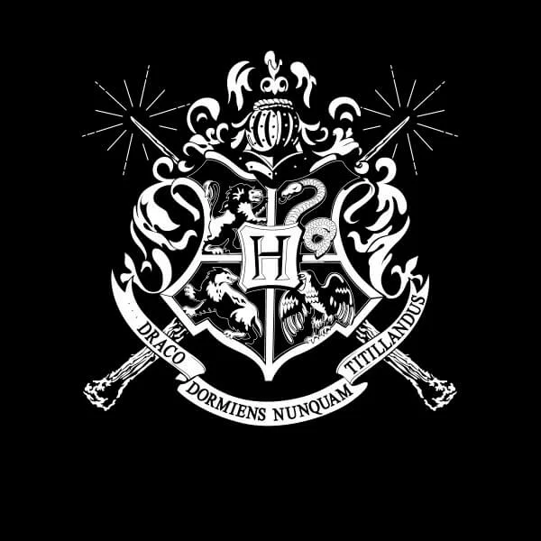 Harry Potter Hogwarts House Crest Damen T-Shirt - Schwarz