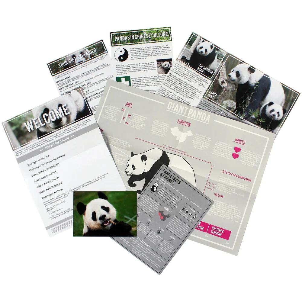 „Adoptiere einen Panda“ Geschenkset Bild 1
