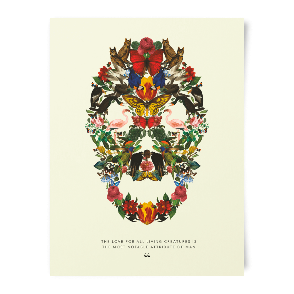 Natural History Museum Skull Of Wildlife Art Print Bild 1