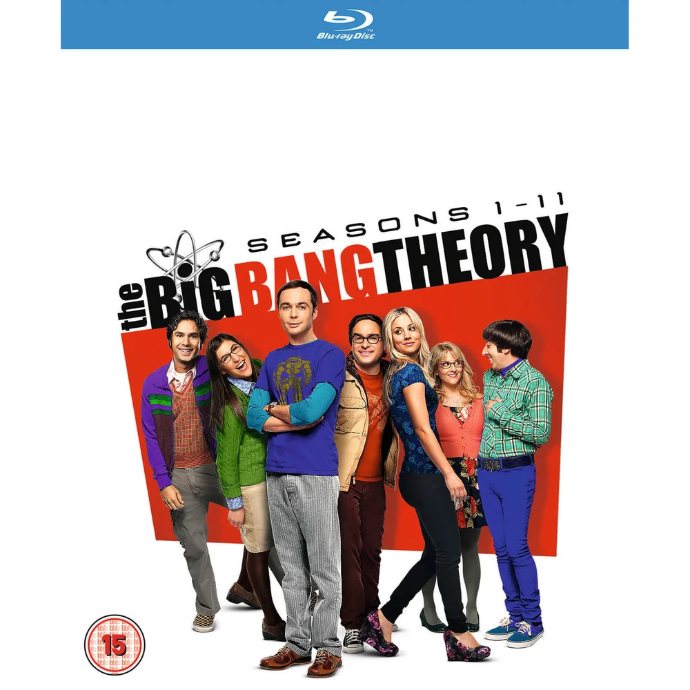 Big Bang Theory Season 1-11 Bild 1