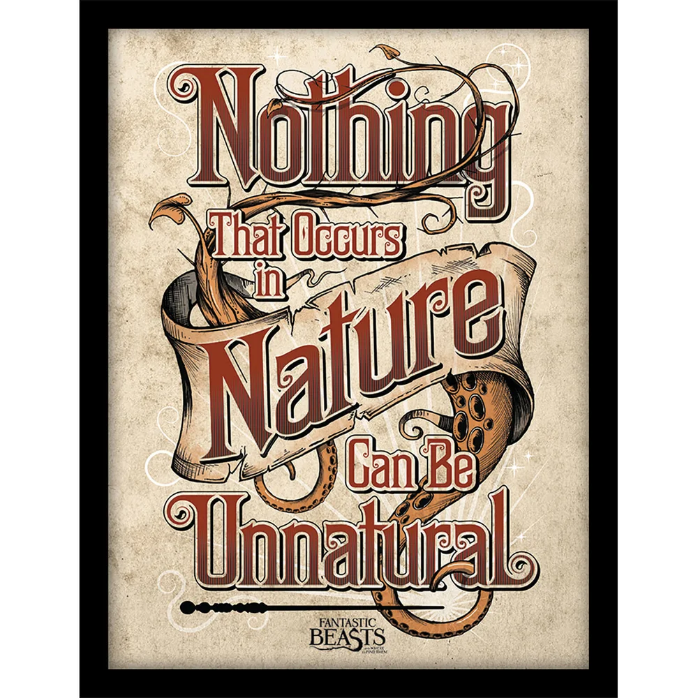 Fantastic Beasts (Nature) Framed 30 x 40cm Print Bild 1