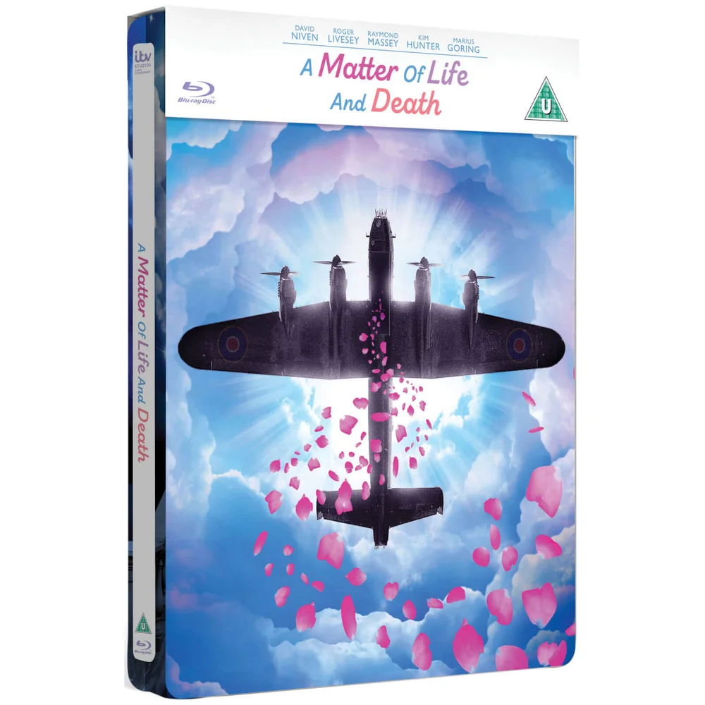 Irrtum im Jenseits - Limited Edition Steelbook Bild 1