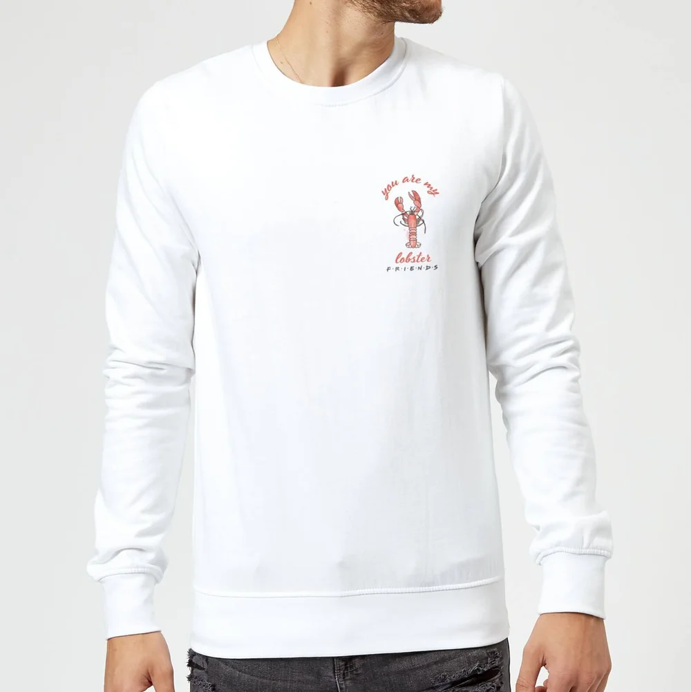 Friends You Are My Lobster Pullover - Weiß - S Bild 1