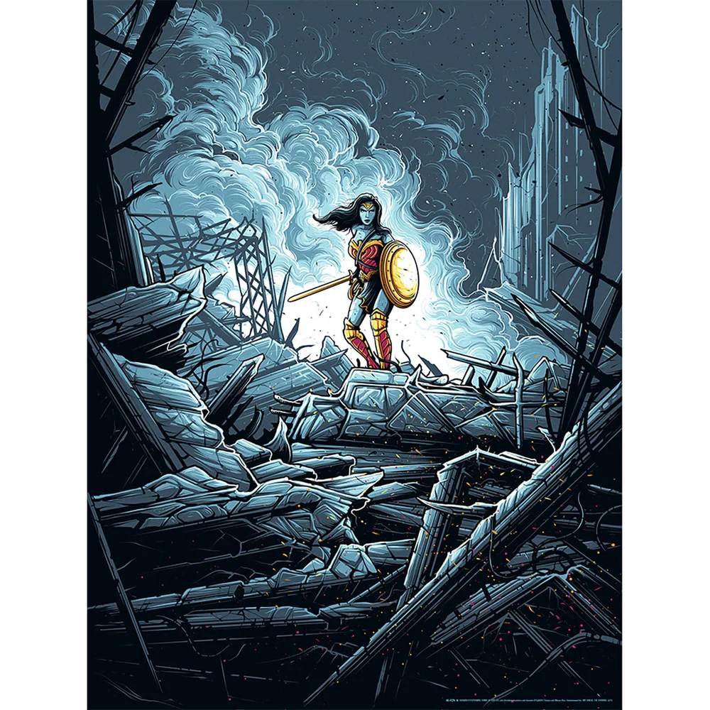 DC Comics Wonder Woman "Warrior" 46 x 61 cm Siebdruck Print (Colour Variant) von Dan Mumford Bild 1