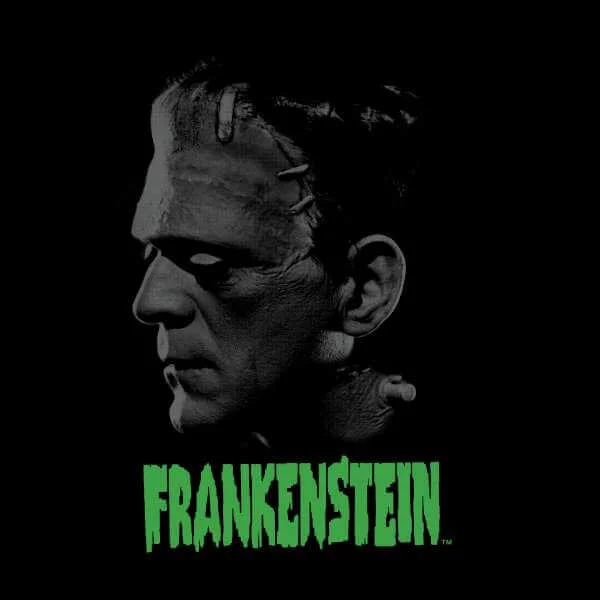 Universal Monsters Frankenstein Grauscale Pullover - Schwarz