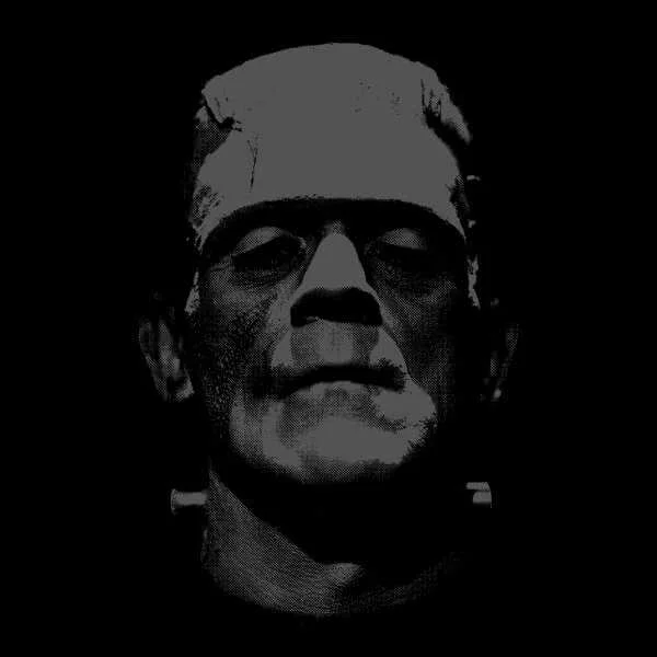 Universal Monsters Frankenstein Schwarz And Weiß Pullover - Schwarz