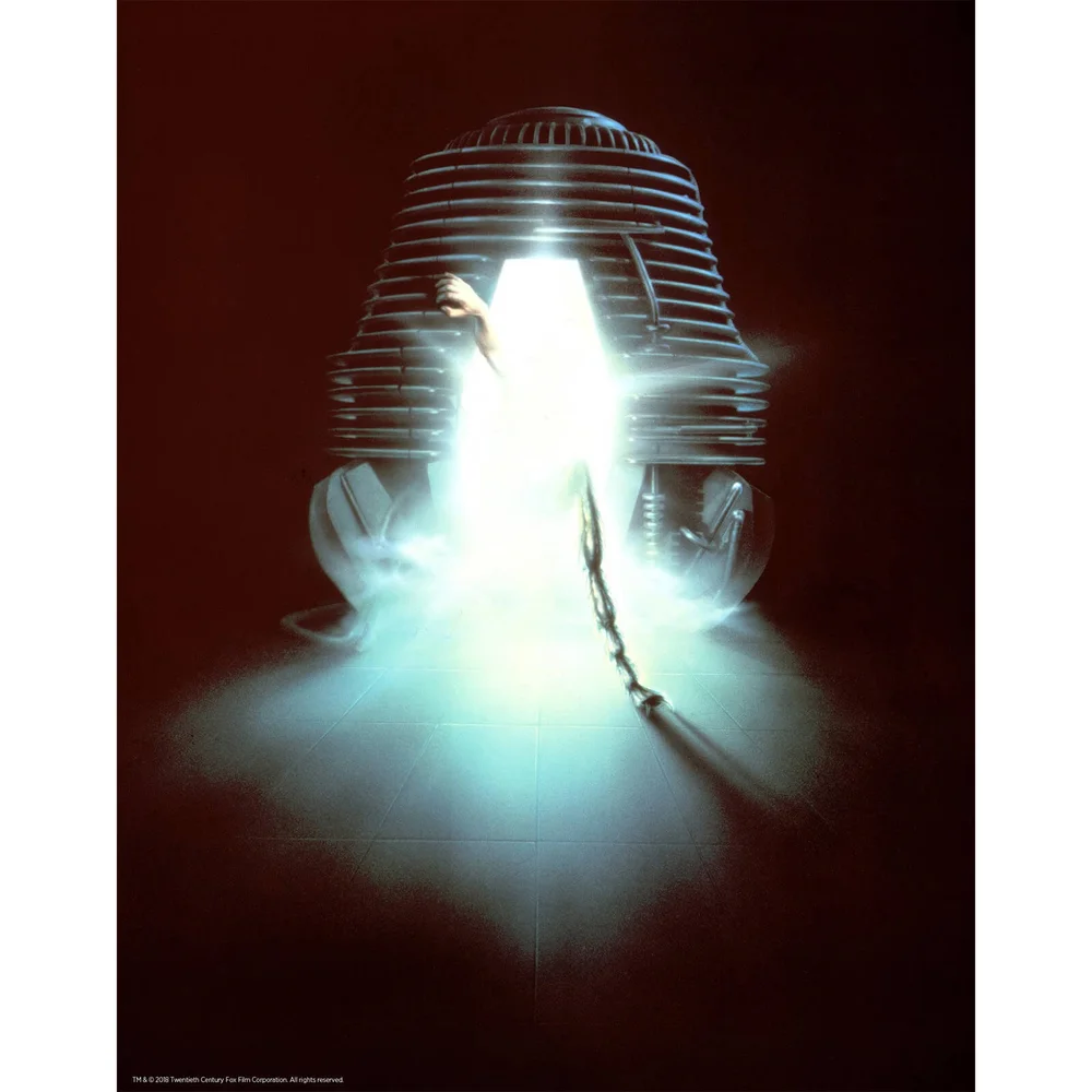 The Fly Limited Edition Art Print Bild 1