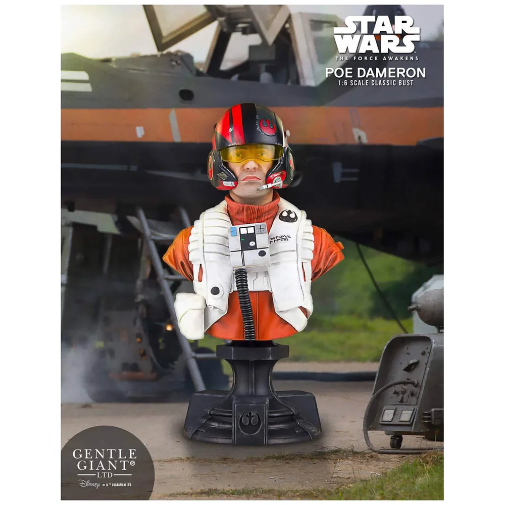 Gentle Giant Star Wars: Episode VII Poe Dameron 1/6 Büste 16 cm - PGM Exclusive Bild 1