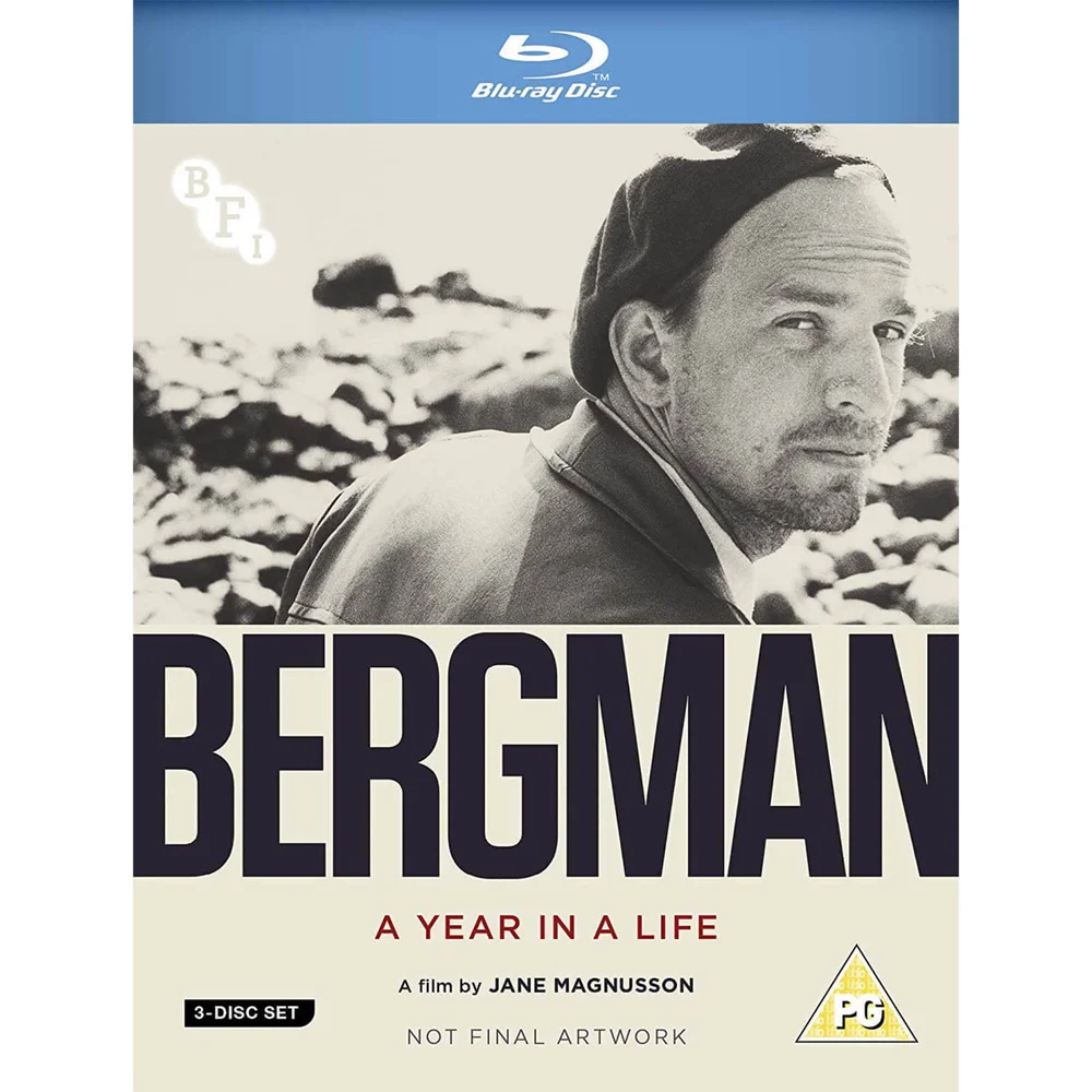 Ingmar Bergman: Ein Jahr in einem Leben Bild 1