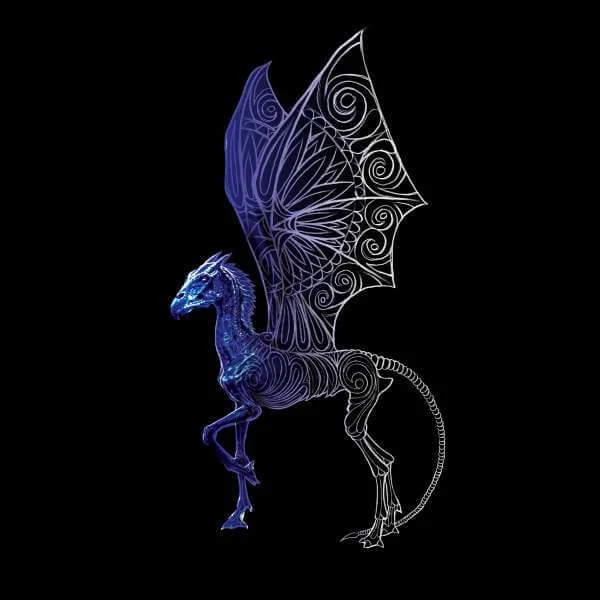 Fantastic Beasts Tribal Thestral Hoodie - Black