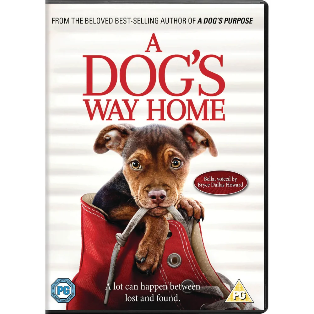 A Dog's Way Home Bild 1