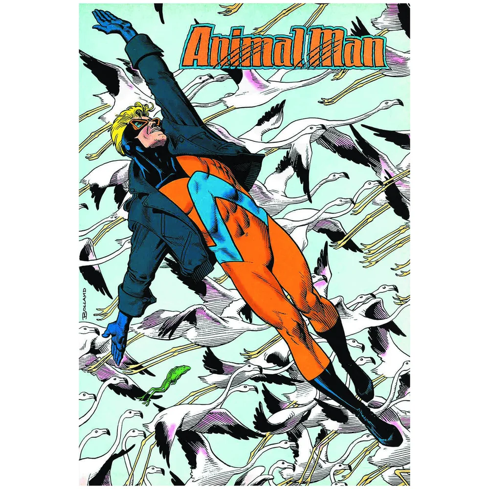Vertigo - Animal Man Band 07 Red Plague Bild 1