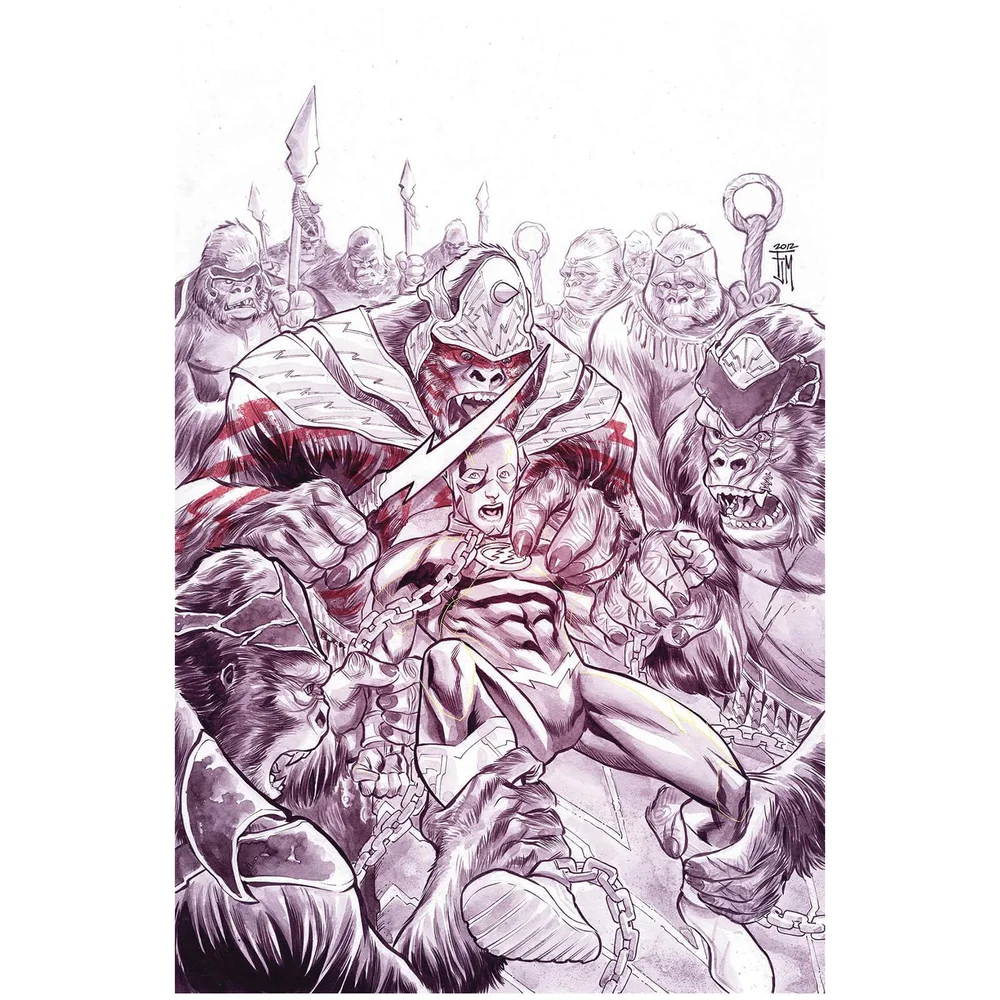 DC Comics - Flash Unwrapped By Francis Manapul Hardcover Bild 1