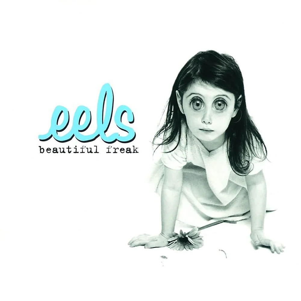 Eels - Beautiful Freak 12 Inch Vinyl Bild 1