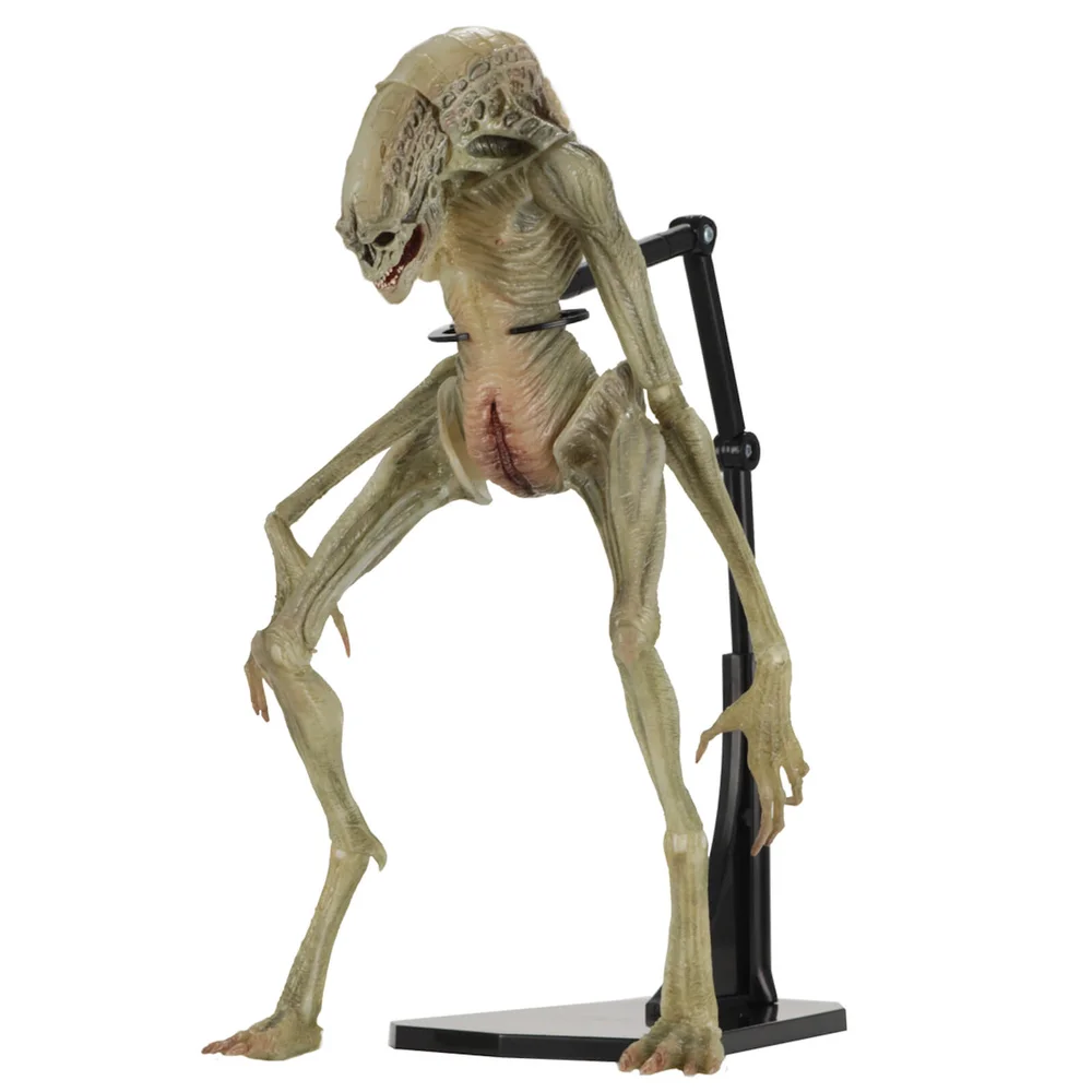 NECA Aliens - 7" Scale Action Figure - Deluxe Alien Resurrection Newborn Bild 1