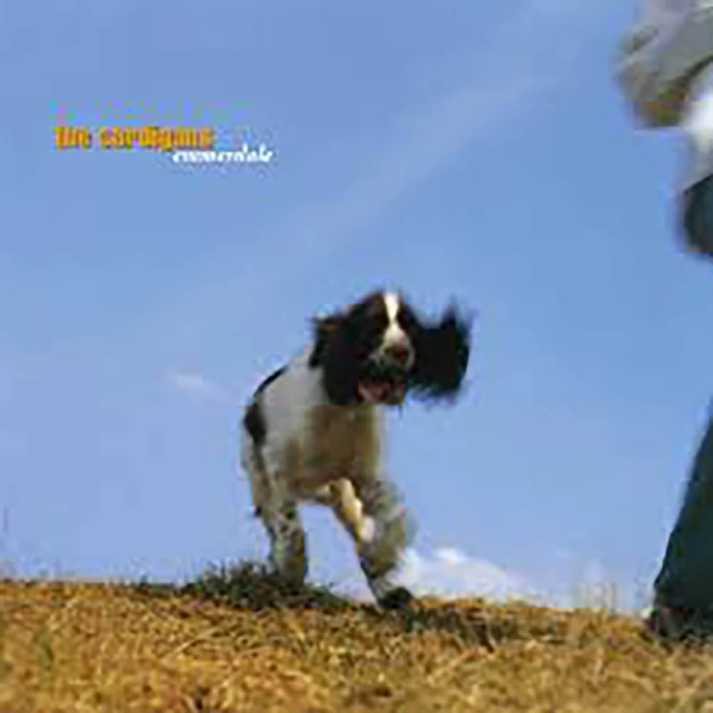The Cardigans - Emmerdale Vinyl Bild 1