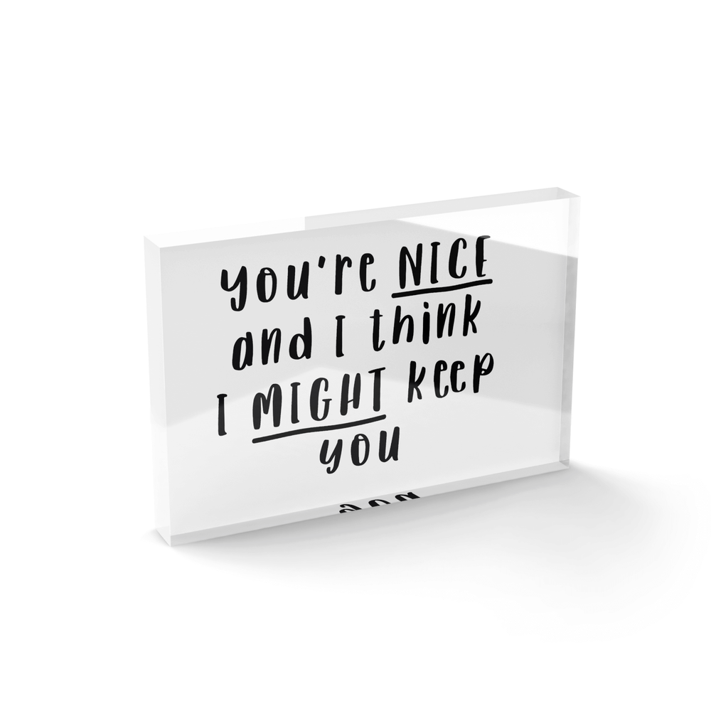 You're Nice And I Think I Might Keep You Glass Block - 80mm x 60mm Bild 1