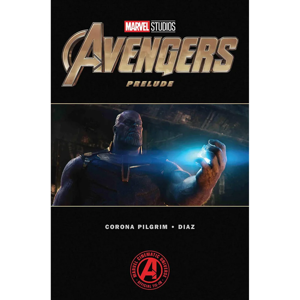 Marvel's Avengers: Endgame Prelude (Taschenbuch) Bild 1