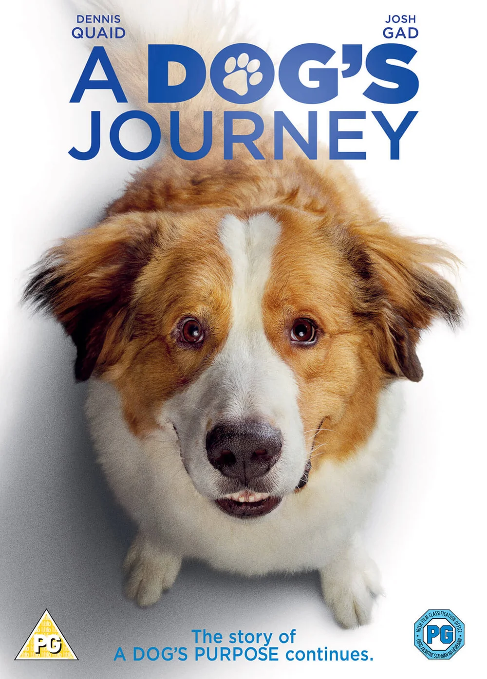 A Dog's Journey Bild 1